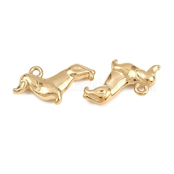 Anhänger aus Edelstahl 304&nbsp;STAS-L022-590G