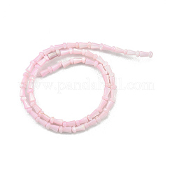 Natürlichen Süßwasser-Muschelperlen Stränge&nbsp;SHEL-G013-02G