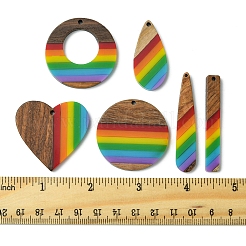 12 Stück 6 Stile Pride Regenbogen Thema Harz & Walnuss Holz Anhänger&nbsp;WOOD-FS0001-32