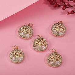 Ciondoli in ottone con micro pavé di zirconi trasparenti da 5 pezzo&nbsp;ZIRC-SZ0002-55