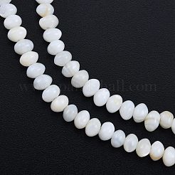 Natürlichen Süßwasser-Muschelperlen Stränge&nbsp;SHEL-G013-03B