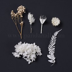 Getrocknete Blumen&nbsp;DIY-D052-04