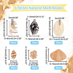 6 Stile natürliche Muschelperlen Display Ornamente&nbsp;SHEL-PH0001-46