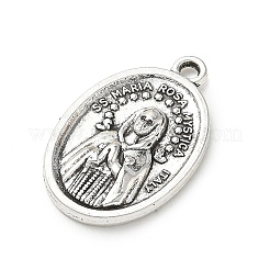 Aluminium Anhänger & Charms&nbsp;FIND-E051-01AS-10