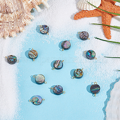 12 Stück natürliche Abalone Muschel/Paua Muschel flach rund Verbinder Charms&nbsp;PALLOY-WH00010