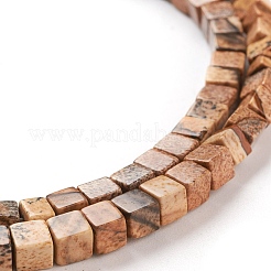 Natürliches Bild Jaspis Perlen Stränge&nbsp;G-F631-K02