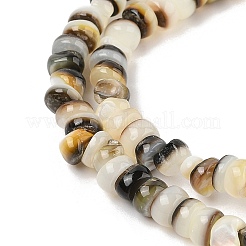 Natur schwarz Lippe Shell Perlen Stränge&nbsp;SHER-R100-02A