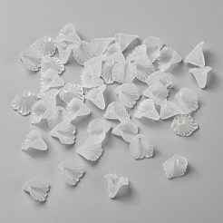 Abalorios de acrílico transparentes&nbsp;X-PL622-9