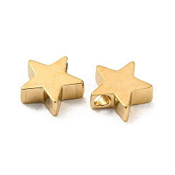 Anhänger aus 304 Edelstahl&nbsp;STAS-L022-216G