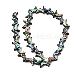 Colliers de perles en nacre d'ormeau naturelle&nbsp;SSHEL-M021-08A