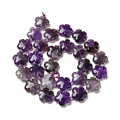 Natürlichen Amethyst Perlen Stränge&nbsp;G-D475-02K
