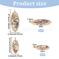 10 Stück 2 Stile Harz Abalone Paua Muschel Anhänger&nbsp;FIND-BC0004-61