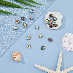 20 Stück Abalone-Muschel/Paua-Muschelperlen&nbsp;SSHEL-FI0001-03