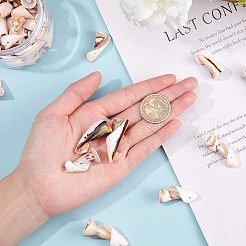 Shell perle naturali di acqua dolce&nbsp;SSHEL-NB0001-19