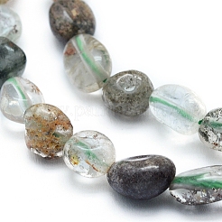 Abalorios de cuarzo lodolite naturales hebras&nbsp;X-G-L550A-07