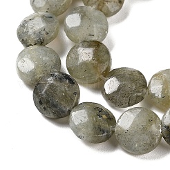 Natur Labradorit Perlen Stränge&nbsp;G-K357-B03-01