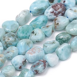 Chapelets de perles en larimar naturel, pépites, pierre roulée, 8~10x8~9x5.5~6mm, Trou: 0.5mm, Environ 43 pcs/chapelet, 15.55 pouce (39.5 cm)