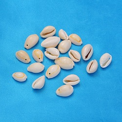 Cuentas de concha de cowrie natural, teñido, color de concha, tamaño: aproximamente 10~16 mm de largo, 10~11 mm de ancho, 3~5 mm de espesor, agujero: 2 mm