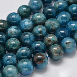 Apatita hebras de perlas redondas naturales, 10mm, agujero: 1 mm, aproximamente 41 pcs / cadena, 15.5 pulgada