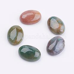 Naturelles agate indienne cabochons, ovale, 18x13x6mm