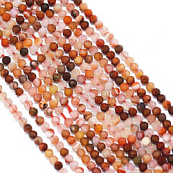 Chapelets de perles en cornaline naturelle, facette, ronde, 2.5x2mm, Trou: 0.5mm, Environ 155 pcs/chapelet, 12.9 pouce ~ 13.1 pouces (330~335 mm)