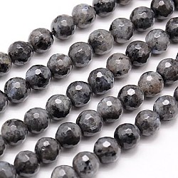 Natural Larvikite Beads Strands, Faceted, Round, Gray, 16mm, Hole: 1mm, about 24pcs/strand, 15.75 inch