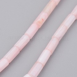 Conchiglia naturale fili di perle, tinto, colonna, rosa nebbiosa, 8x4mm, Foro: 0.5 mm, circa 50pcs/filo, 15.7 pollice