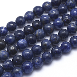 Chapelets de perles en sodalite naturelle, ronde, 10mm, Trou: 1mm, Environ 42 pcs/chapelet, 15.5 pouce (39.5 cm)