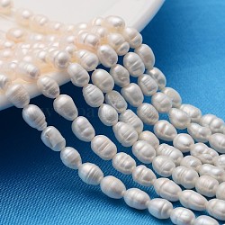 Grade A Natural Cultured Freshwater Pearl Strands, Idea for Mother's Day Gift, Rice Beads, White, 4~5mm, Hole: 0.8mm, about 50~55pcs/strand, 13.7 inch