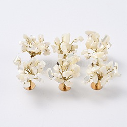 Chips de concha de nácar de concha blanca natural exhiben decoraciones, con alambres de latón chapado en oro, árbol afortunado, 24~27x32~41x33~42mm
