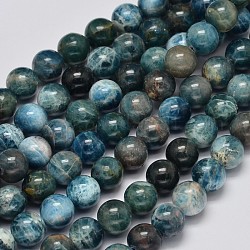 Round Natural Apatite Beads Strands, Grade AB, 8mm, Hole: 1mm, about 47pcs/strand, 15.7 inch
