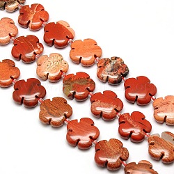 Natural Red Jasper Flower Beads Strands, 20x6.5mm, Hole: 1mm, about 20pcs/strand, 15.74 inch
