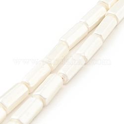 Hebras de perlas de concha electrochapadas, pulido, columna hexagonal, blanco, 15x7.5x6.5mm, agujero: 0.8 mm, aproximamente 27 pcs / cadena, 15.94 pulgada (40.5 cm)