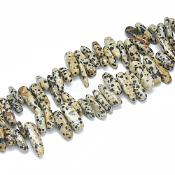 Chapelets de perles en jaspe dalmatien naturelle, puce, 10~30x5~10x3~9mm, Trou: 1mm, Environ 65~85 pcs/chapelet, 14.9 pouce