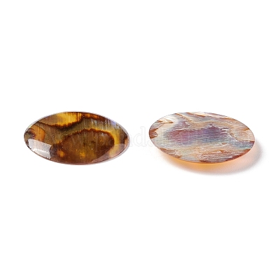 Cabochons de concha paua&nbsp;SSHEL-C008-08-1