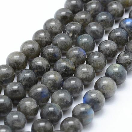 Natural Labradorite Beads Strands G-P326-01-10mm-1