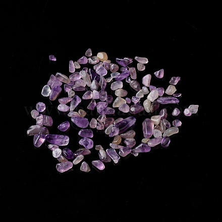 Perles de puces améthyste naturelle G-M364-12A-1