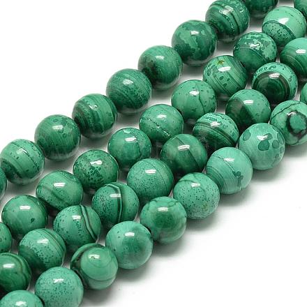 Chapelets de perles en malachite naturelle G-R432-11-10mm-1
