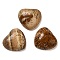 Natural Picture Jasper Cabochons, Heart, 15x15x6mm