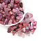 Transparent Acrylic Beads, Nuggets, Two Tone, Flamingo, 11~21x7~12x6~8mm, Hole: 2mm, about 30pcs/20g