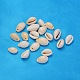 Natural Cowrie Shell Beads X-BSHE-S055-1
