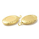 Acumular colgantes medallón de latón chapado KK-G452-05G-3