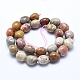 Chapelets de perles en pierre de chrysanthème naturel X-G-E483-75A-2