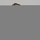 Globleland 1 set 18 pezzi tazza di funghi fustelle per fai da te scrapbooking metallo fiaba casa dei funghi tagli morire goffratura stencil modello per la carta creazione di carte decorazione album decorazioni artigianali DIY-WH0309-1087-4