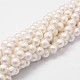 Chapelets de perles en coquille BSHE-L029-01-8mm-1