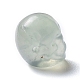 天然の蛍石ビーズ  ハロウィンの頭蓋骨  11~11.5x8.5~9x11~11.5mm  穴：0.9~1mm G-C038-01N-4