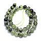 Chapelets de perles en préhnite naturelle G-K224-03-10mm-2
