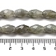 Chapelets de perles en labradorite naturelle  G-P520-C08-01-5