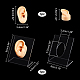 Olycraft 右耳ディスプレイモデル シリコーン耳モデル ゴム耳 シリコーン柔軟な耳モデル アクリルディスプレイ付き 教育ツール用スタンド ジュエリーディスプレイイヤリング プロのピアス練習 EDIS-WH0021-14A-2