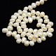 Grade A Natural Cultured Freshwater Pearl Beads Strands PEAR-L001-B-06-3